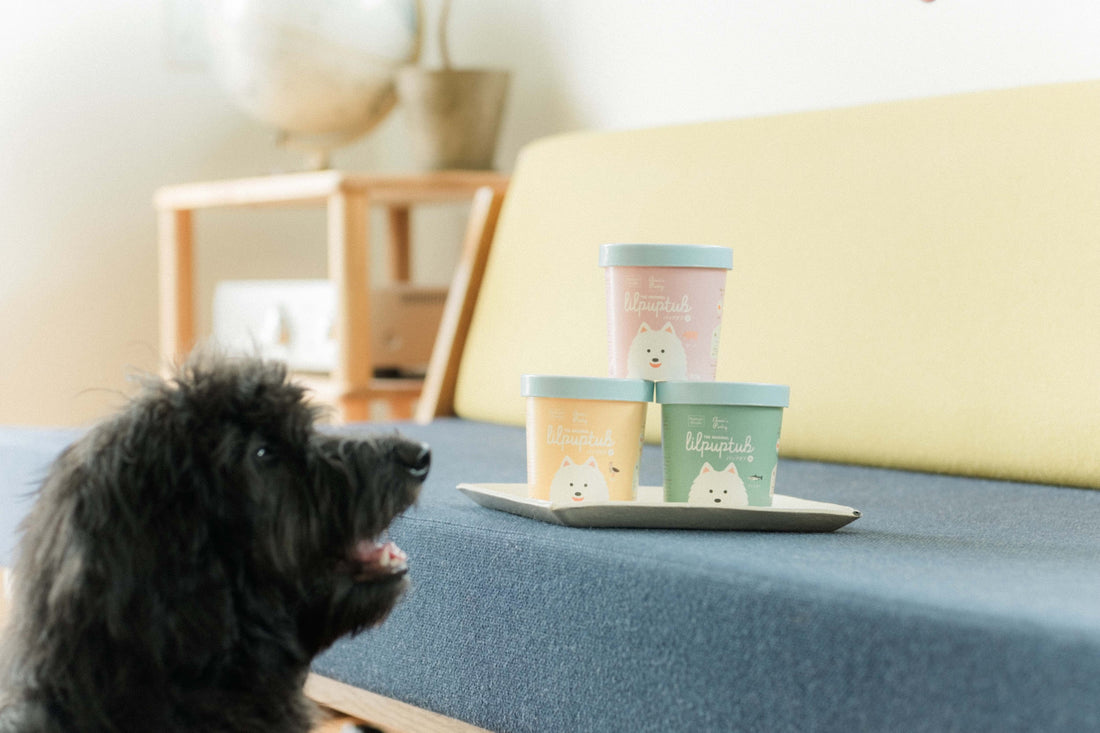 アニーズパントリーはどんなフード？専門家による愛犬レビュー