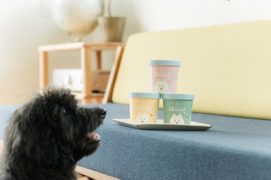アニーズパントリーはどんなフード？専門家による愛犬レビュー